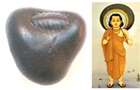 Shree Vamana Shaligram Vamana Shaligram